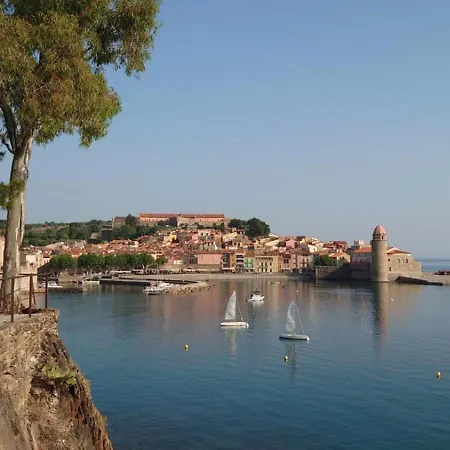 4rb86 Type T2 Dans Bord De A Apartmán Collioure